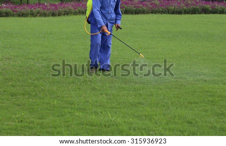 Gardener is spraying of insecticides at lawn