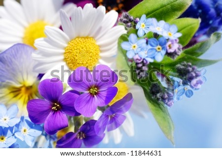 Bunch of flowers laying on a mirror