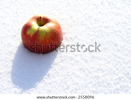 Apple in the snow during  sunny cold day