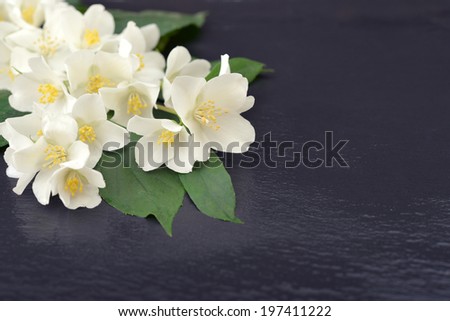 Bouquet of jasmine flowers on wet  graphite background