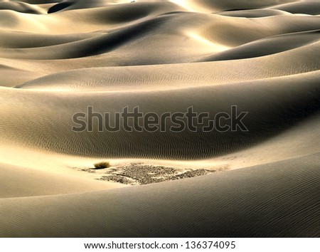 Foto Bild aufgetürmte Sandhügel an der niederländischen Nordseeküste