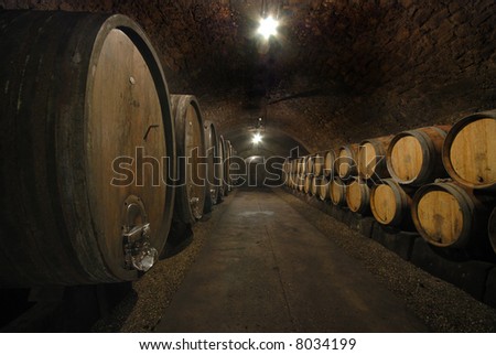 Old wine cave with wooden barrels