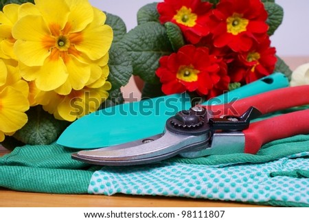 clippers, gardening gloves, green shovel and two flowers, red and yellow primroses