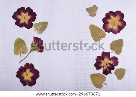dried flowers or craft flowers on crumpled paper