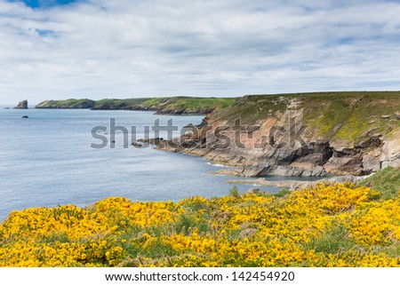 Marloes and St Brides bay West Wales coast near Skoma island.  If you miss the ferry to the island these views are found on the walk on the mainland