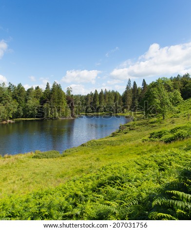 Tarn Hows Lake District National Park England uk one of the top scenic destinations in the North West of England with a beautiful walk around the lake