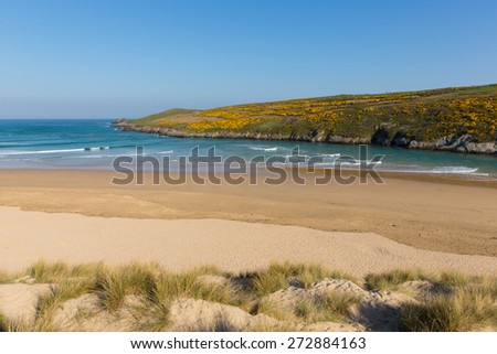 Crantock coast North Cornwall England UK near Newquay and on the South West Coast Path in spring with blue sky and sea