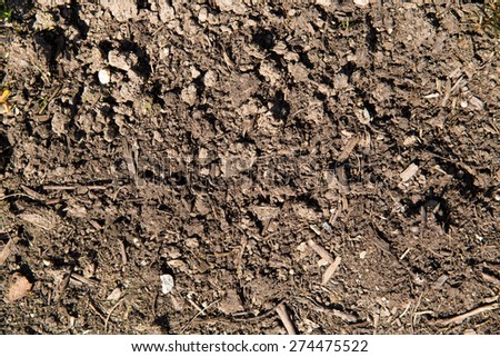 Earth mud background texture