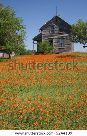 vertical rustic farmhouse with orange flowers