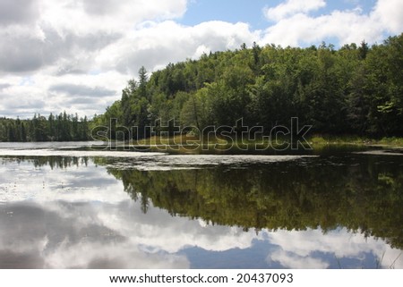 Reflection of trees and clouds in a lake