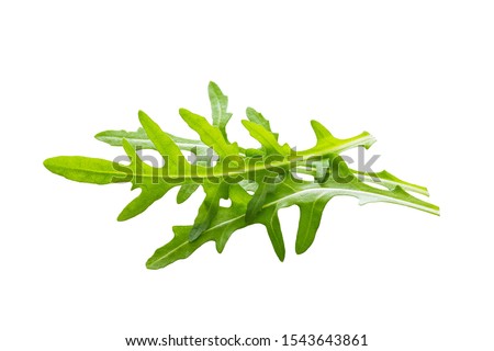 Arugula leaves isolated on white background. 商業照片 © 