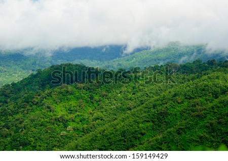 Mountains, green with morning fog. Images with high contrast and high resolution.