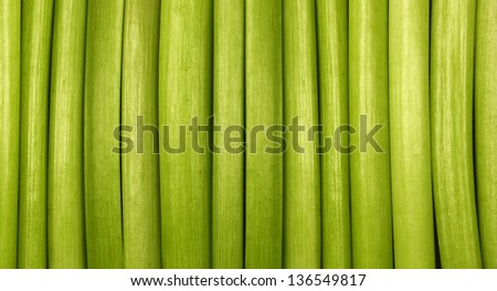 Natural Green Background / Green background made from organic material - cut flowers
