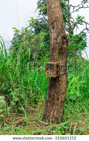 camera trap for research wildlife