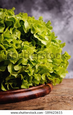 Roman salad lettuce green leaves