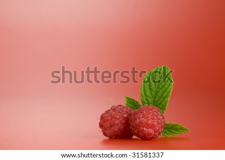 Close up view of nice fresh red raspberry on red back