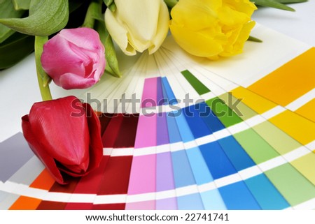 colorful tulips laying on a color palette