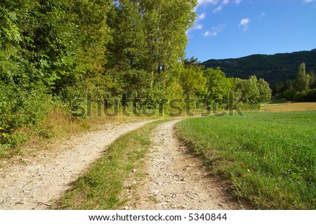 Path, field and trees