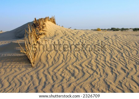 The barrier not giving to sand to fall asleep an oasis