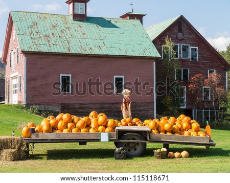 Pumpkins for sale at a farm stand
