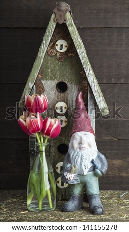 Still life with garden theme featuring garden gnome, bird house and tulip flowers.