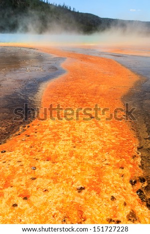 Closeup of the brightly colored orange bacteria bloom in the hot thermal waters of Grand Prismatic Spring, third largest in the world, one of the many natural wonders in Yellowstone National Park.