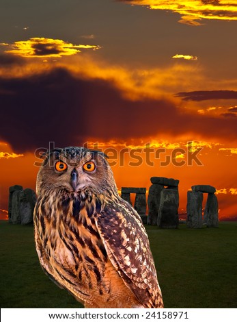 an owl and the mystery Stonehenge in England