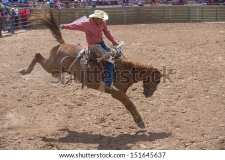 GALLUP , NEW MEXICO - AUGUST 10 : Cowboy Participates in a Bucking Horse Competition at the 92nd annual Indian Rodeo in Gallup, NM on August 10 2013