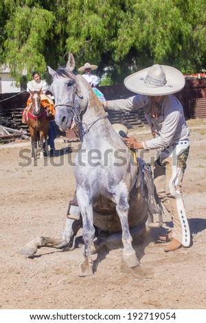 SAN DIEGO - MAY 03 : Charro perform with his horse at the Cinco De Mayo festival in San Diego CA . on May 3, 2014. Cinco De Mayo Celebrates Mexico\'s victory over the French on May 5, 1862.