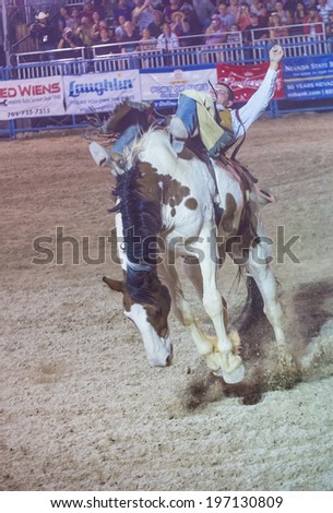 LAS VEGAS - MAY 16 : Cowboy Participating in a Bucking Horse Competition at the Helldorado days Rodeo , A Professional Rodeo held in Las Vegas on May 16 2014