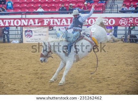 LAS VEGAS - NOV 05 : Cowboy Participating in a Bucking Horse Competition at the Indian national finals rodeo held in Las Vegas, Nevada on November 05 2014