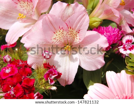 floral bouquet of different flowers