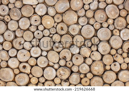 Wood cross slice. Stack of brown circle wood