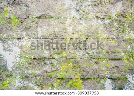 Abstract stone wall background texture forest pattern grunge style