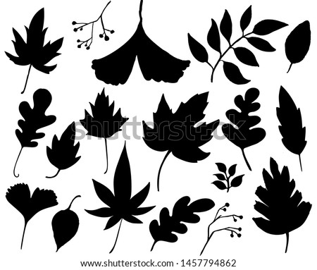 Autumn leaves set. Black leaf silhouettes isolated on white background. Graphic elements for autumn designs