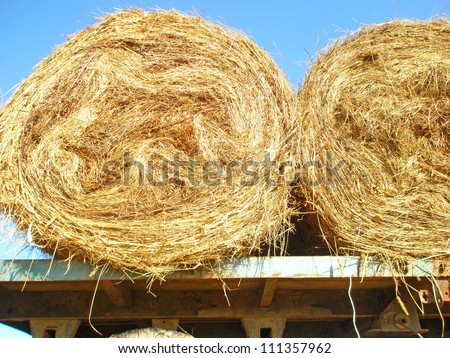 Two rolls of hay on a cart in the field