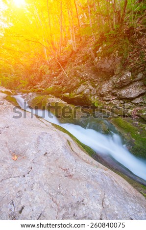 River deep in mountain forest with sunlight. Natural composition