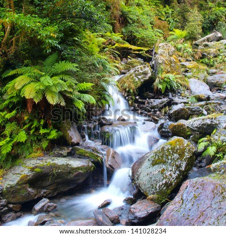 Long Exposure image of a Waterfall in Lush Temperate Rainforest on the West Coast of New Zealand