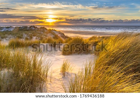 Similar – Image, Stock Photo Dune with dune grass in front of bright blue sky