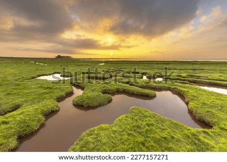 Similar – Image, Stock Photo Wadden Sea Environment