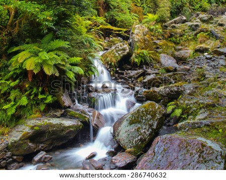 Waterfall Long Exposure imagein Lush Temperate Rainforest on the West Coast of New Zealand