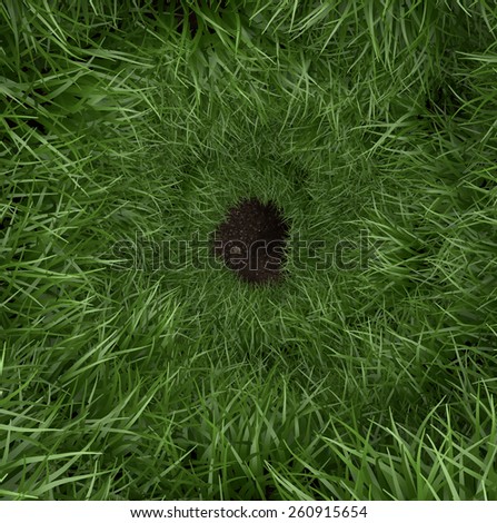 Spiral green grass rabbit hole