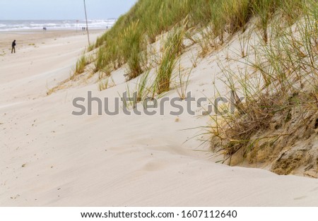 Similar – Foto Bild beach scenery at Spiekeroog