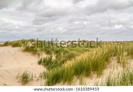 Similar – Foto Bild beach scenery at Spiekeroog