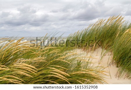 Similar – Foto Bild Spiekeroog in East Frisia