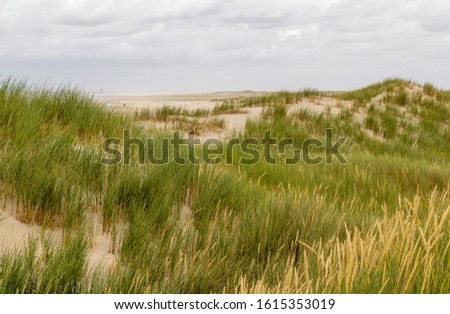 Similar – Foto Bild beach scenery at Spiekeroog