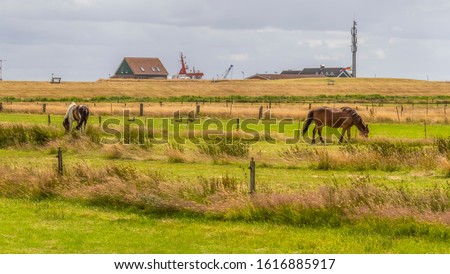 Similar – Foto Bild Spiekeroog in East Frisia