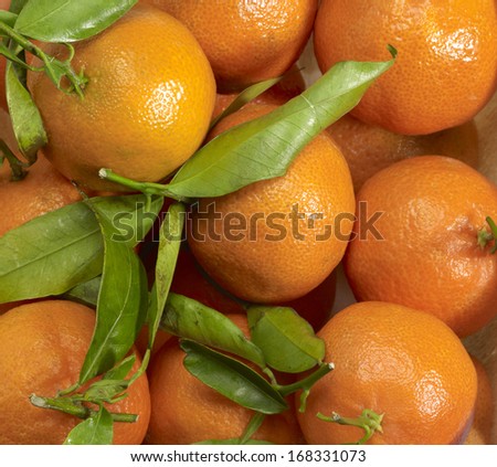 organic orange fruit background