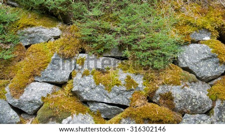 some granite stones overgrown with moss