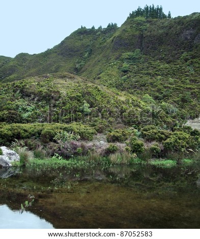 waterside overgrown landscape at Sao Miguel Island